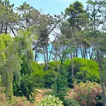 Montenosa