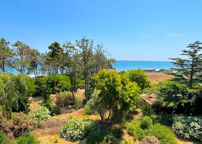 Montenosa Aleria (Corsica)