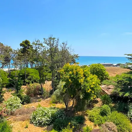 Montenosa Aleria (Corsica)