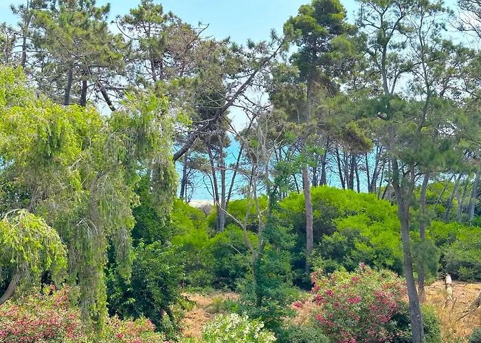 Montenosa
